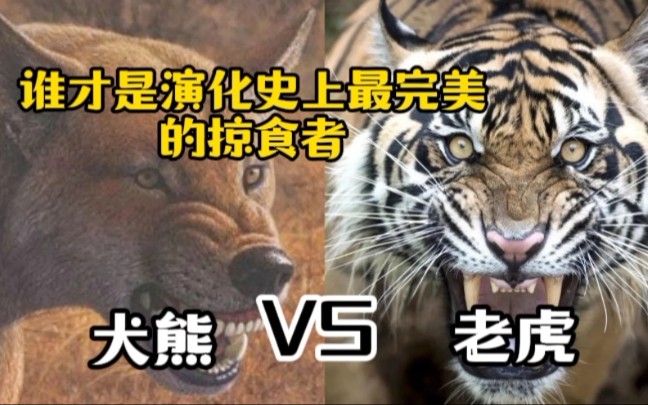 喀山主场迎战杭州绿城，谁将笑到最后？的简单介绍